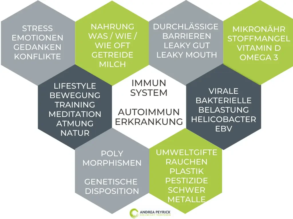 Autoimmunerkrankungen aus Sicht der Psycho-Neuro-Immunologie (KPNI)