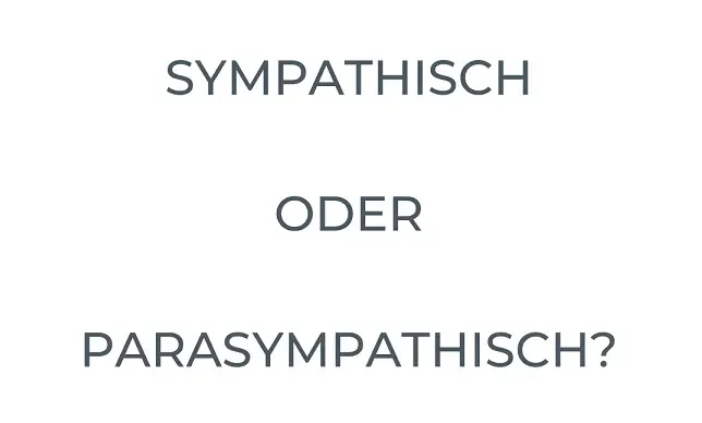 Sympathisch oder wie kommst Du durch die Kurve?
