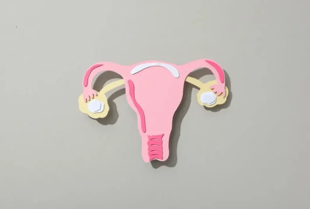 Östrogendominanz verstehen: Ursachen, Symptome und Unterstützung bei hormoneller Dysbalance